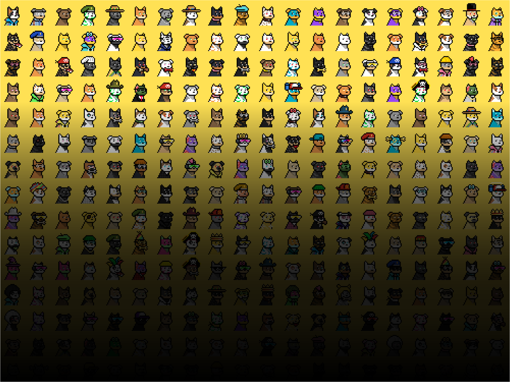 Yellow DAO Collection